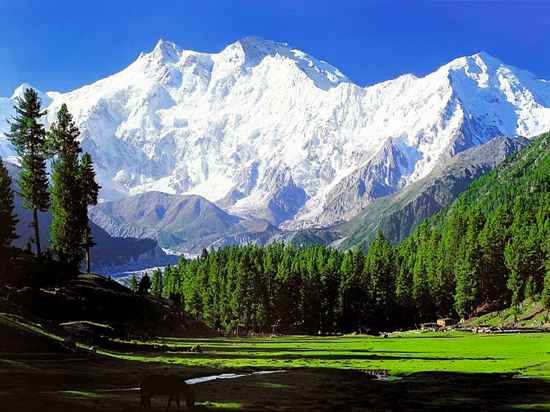 Nanga-Parbat-Wallpaper