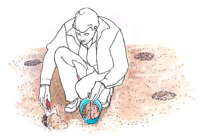 To collect an accurate soil sample, dig down 4 to 6 inches at various spots across your garden.
