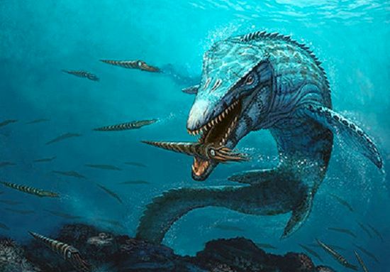 Miller Mosasaur
