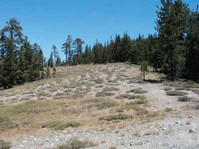 Slate Mountain Serpentine Barrens Large