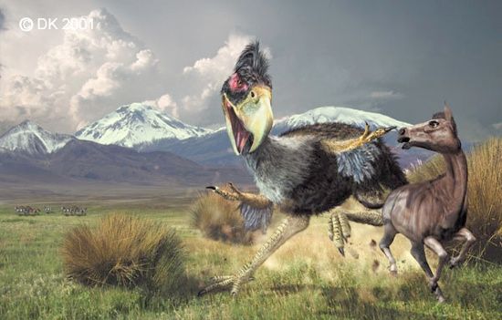 Titanis Horse