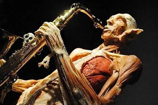 body-worlds-exposition01.jpg