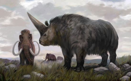 Elasmotherium