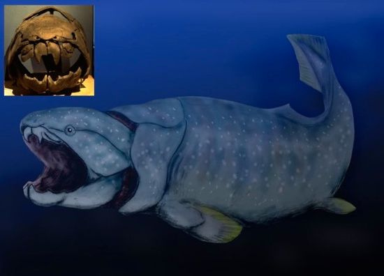 Dunkleosteus-625X450