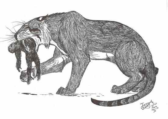 Very Very Big Cat By Hodarinundu-D332Oxj