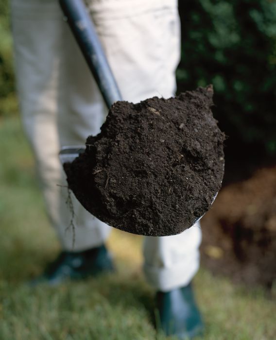 A quick way to test your soil's texture is to gently squeeze a small amount of slightly moist soil in your hand.