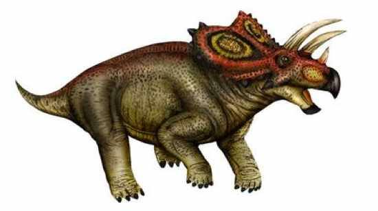 Coahuilaceratops