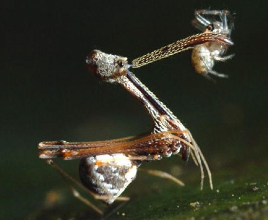 Screen Shot 2010-04-07 At 7.43.05 Am