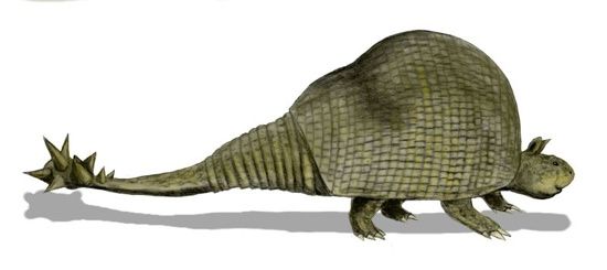 Doedicurus Bw