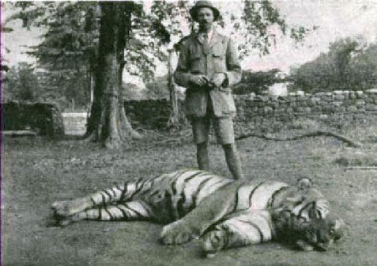 Jim-Corbett-Tiger