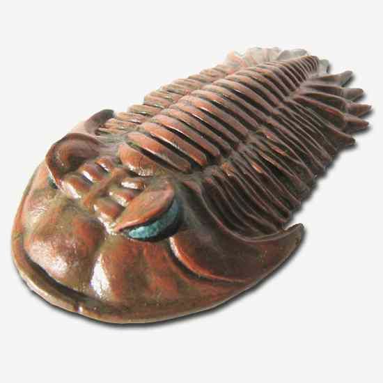 Trilobite-Model