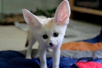 Picture 3-30