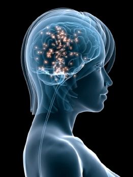 Active Brain
