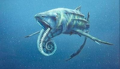 Helicoprion23D