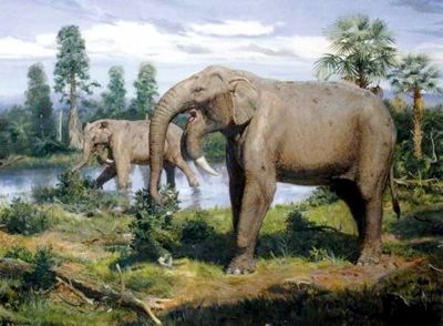 Deinotherium: A Giant