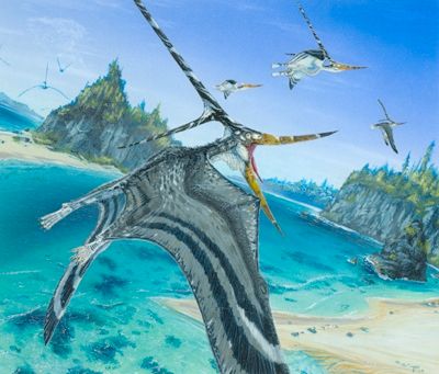 Nyctosaurus Final