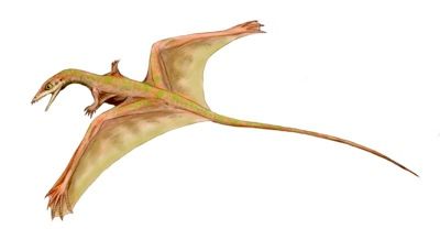 Sharovipteryx Bw