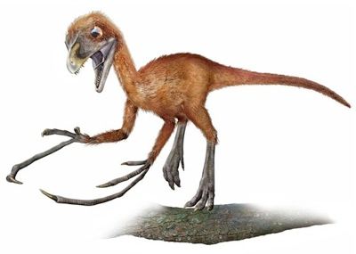 Epidendrosaurus800Pn0