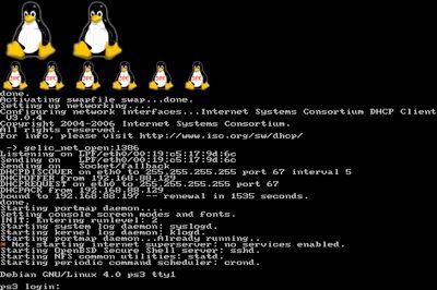 Debian-Penguin-Shot-1