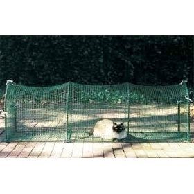 Secure Outdoor Cat Run