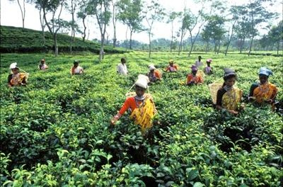 Bangladesh-1
