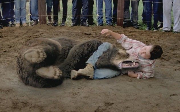 Bear Wrestling