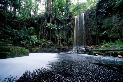 Photo Lg Suriname