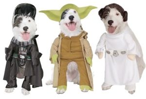 Pet Apparel