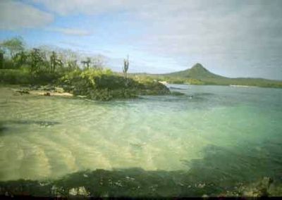 Santafeislandgalapagos