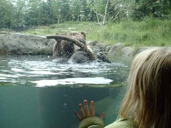 Bear And Girl Pam Cox