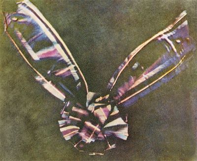 733Px-Tartan Ribbon