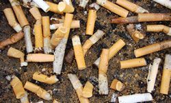 Cigarette Butts