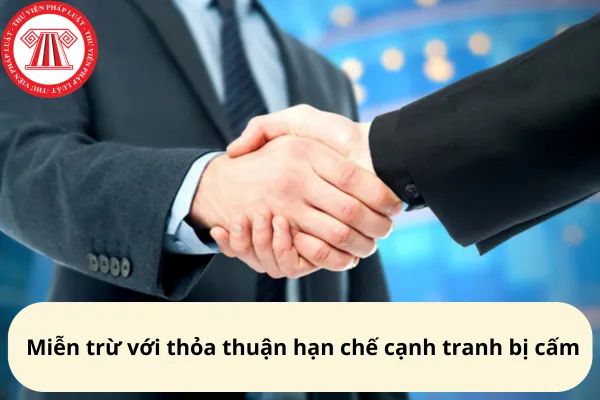 Miễn trừ đối với thỏa thuận hạn chế cạnh tranh bị cấm năm 2024