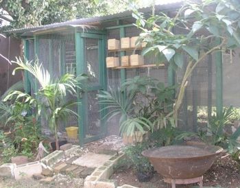 P-01 Aviary