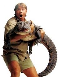 Steve-Irwin-Dead