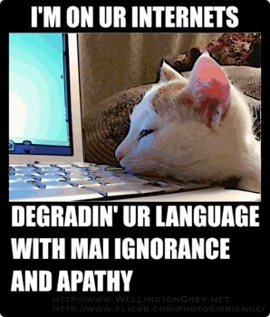 Lolcat-Attack