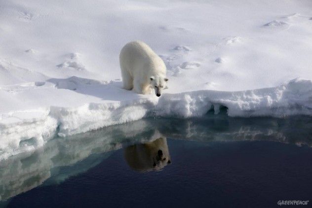 Greenpeace in Greenland