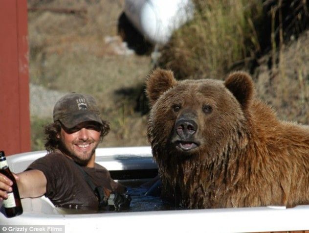 Drunk Bear