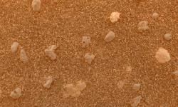 A close-up image showing mud particles
