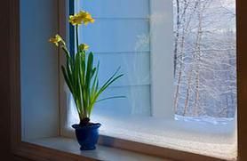 frosted window image