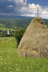 Haystack