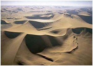 Desert