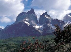 Andes