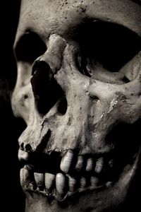 250Px-Skullclose