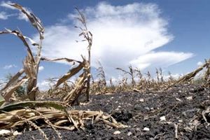 Drought