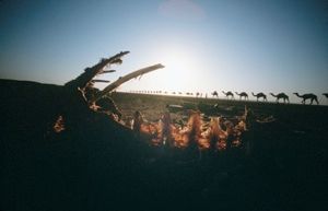 Danakil