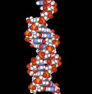 Genetic Engineering