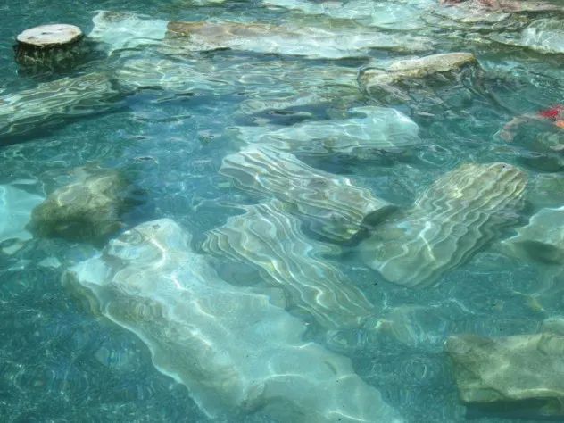 column-pool