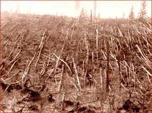 060203Tunguska2