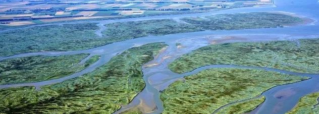 Aerial-view-of-Drowned-Land-of-Saeftinghe